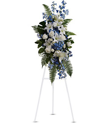 Ocean Breeze Spray from Boulevard Florist Wholesale Market